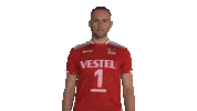 tvforgtr volleyball voleybol tvf eurovolley Sticker