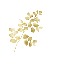 Flower Gold Sticker by nagelstudioharderwijk