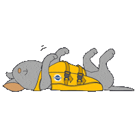 Dog Puppy Sticker by PedigreeBR