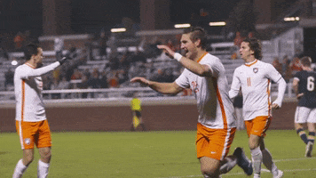 High Five Go Tigers GIF by Clemson Tigers