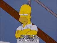 homer simpson good job GIF