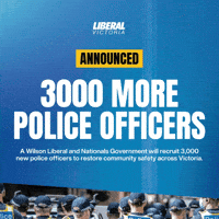 Crime GIF by Nicole Werner MP