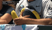 College Baseball GIF by NCAA Championships