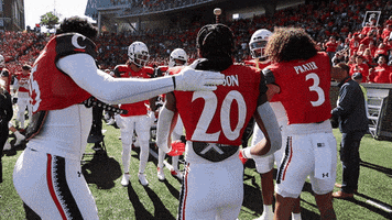 College Football Ncaa GIF by Cincinnati Bearcats