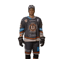 Uhk Sticker by UNIted HK