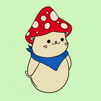 Happy Dance GIF by Sappy Seals Community