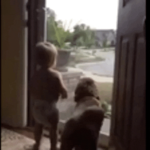 Happy Dog GIF by The Videobook