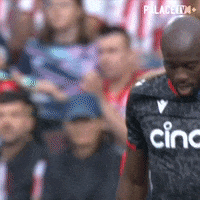 Premier League Walk GIF by Crystal Palace Football Club