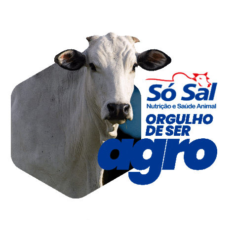 agrososal giphyupload só sal agro só sal orgulho agro Sticker