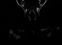 Stick To Your Guns GIF by Pure Noise Records