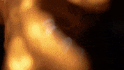 King Jesus GIF by City Life Lansing