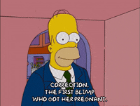 homer simpson episode 10 GIF