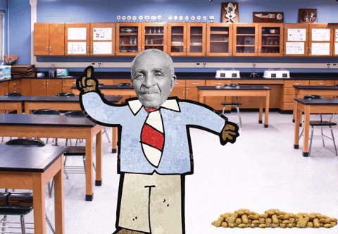 Kbnoswag GIF by Barstool Sports