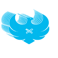 edusportacademy academy braves edusport edusportacademy Sticker