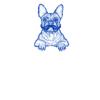 French Bulldog Sticker by 1664 Blanc