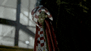 villa park football GIF by Aston Villa FC