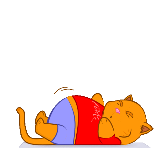 Cat Sport Sticker by valeriikorzun