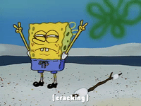 season 1 GIF by SpongeBob SquarePants