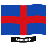 Flag Barcelona Sticker by Formación Ninja