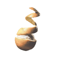 Dakota Johnson Tld Sticker by NETFLIX