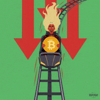 Moving Down Roller Coaster GIF by World Of Women