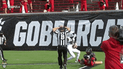Interception Usf GIF by SoFloBulls
