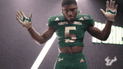 College Football GIF by USF Athletics