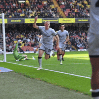 Celebration Smile GIF by MillwallFC