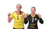 Volleyball Sticker by Draisma Dynamo