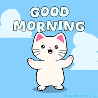Good Morning GIF by Silly Kitties