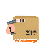 golvicargo envioencamino golvicargo Sticker