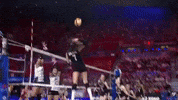 Hande Baladin Mt GIF