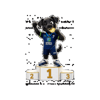 Mascote Sticker by Colégio Américo Melo