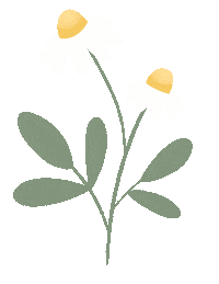 Flower Spring Sticker