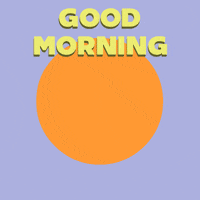 Good Morning GIF by BoDoggos