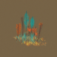 plant GIF by eranhill