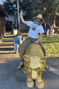 State Fair Bear GIF by Padre Mu