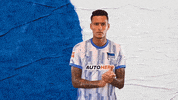 Bundesliga Berlin GIF by Hertha BSC