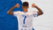 Bundesliga Berlin GIF by Hertha BSC