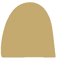 Effects Mustard Sticker