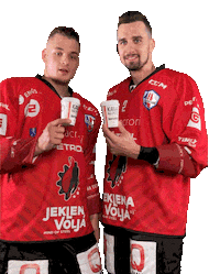 Hockey Hokej Sticker by HDD SIJ Acroni Jesenice