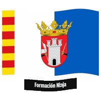 Comunidad Valenciana Flag Sticker by Formación Ninja