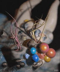 animation loop GIF by Uwe Heine Debrodt