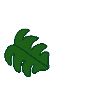 Green Leaf Sticker by Function of Beauty