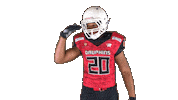 Football Nfl Sticker by Les Dauphins de Nice