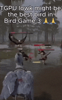 Bird Shoebill GIF