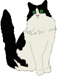 Shocked Tuxedo Cat Sticker