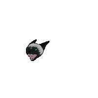 Siamese Cat Sticker by Jasi