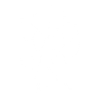 Ferriswheel Sticker by Visit Sunshine Coast