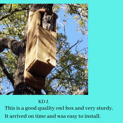 KingWoodClocks giphyupload GIF